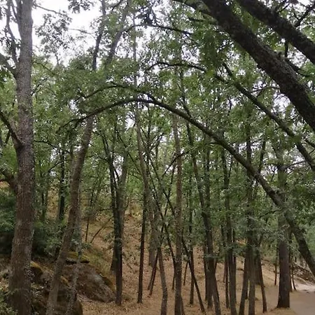 La Pequena Cercona